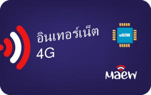 Maew Unlimited - 10 days