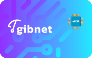 Gibnet Unlimited - 10 days