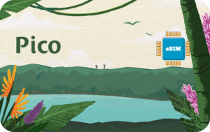Pico Unlimited - 10 days