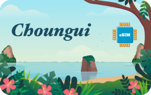 Choungui 1 GB - 7 days