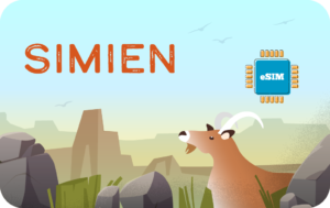 Simien 1 GB - 7 days