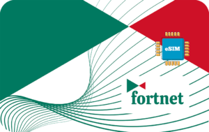 Fortnet 1 GB - 7 days